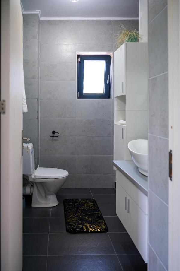 Nina House Apartment Targu Jiu Exterior photo