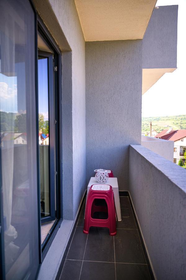Nina House Apartment Targu Jiu Exterior photo